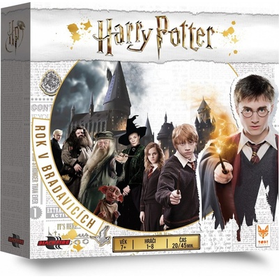 Harry Potter: Rok v Bradavicích