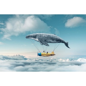 DIMEX ART Флизелинов фототапет пътуване към мечта 375 x 250 см