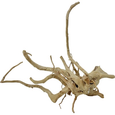 Invital Red moor wood KG 680 g Z08166