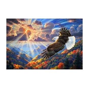 NORIMPEX Painting by numbers - Eagle in the clouds