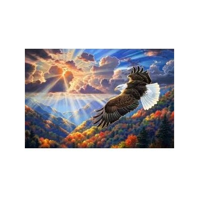 NORIMPEX Painting by numbers - Eagle in the clouds