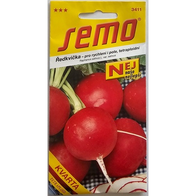 SEMO radish - за ускорение и поле, тетраплоид 3411 (3411)