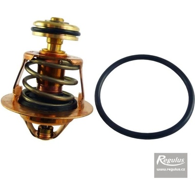 Regulus 16095 – Sleviste.cz