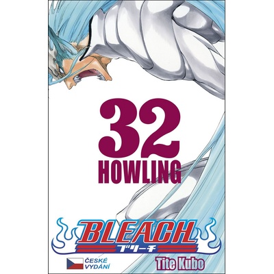 Bleach 32: Howling