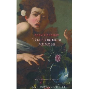 Image 1 of Толстокожая мимоза