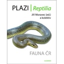 Plazi