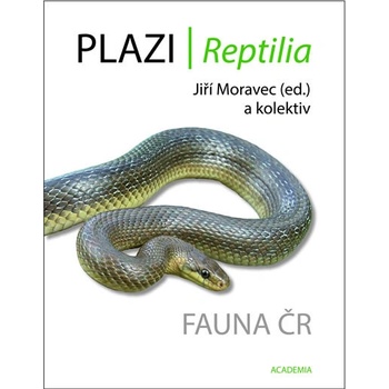 Plazi