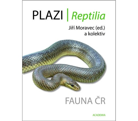 Plazi