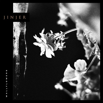 Jinjer - Wallflowers Vinyl LP
