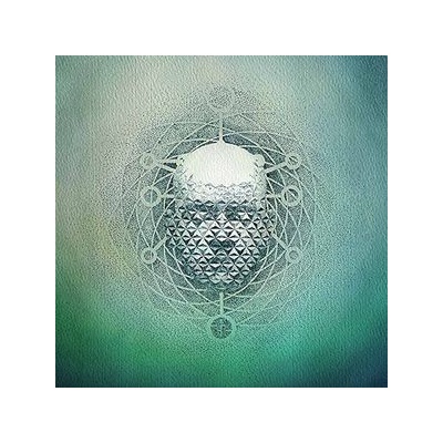22 - YOU ARE CREATING: LIMB1 LTD. LP