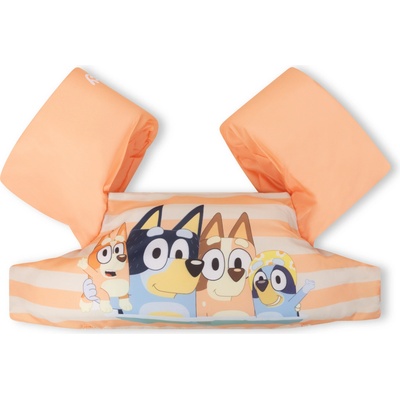Swim Essentials Bluey