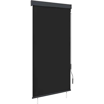 VidaXL Venkovní roleta, 100 x 250 cm, antracitová