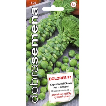 KEL ružičkový Dolores F1