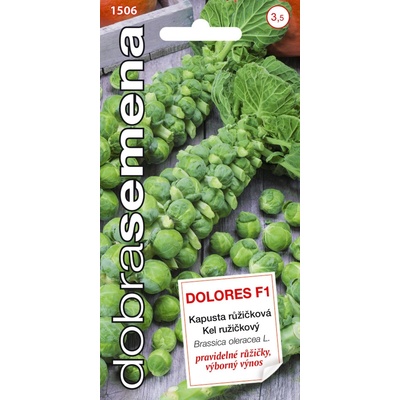 KEL ružičkový Dolores F1