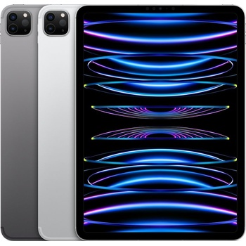 Apple iPad Pro 11 (2022) 2TB Wi-Fi + Cellular Space Gray MNYL3FD/A