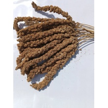 Fauna Hradil Senegalské proso žluté v klasech FAUNA 500g