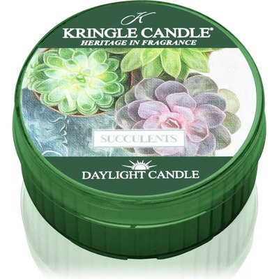 Kringle Candle Succulents чаена свещ 42 гр