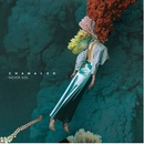NEVER SOL - CHAMALEO CD