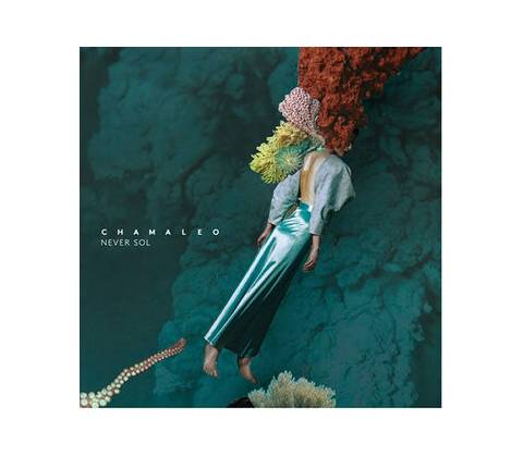 NEVER SOL - CHAMALEO CD