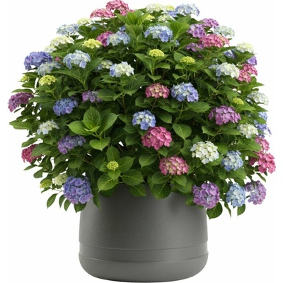 HowHomely PLASTOVÝ KVETINÁČ LUNA VASE 42X32 CM ANTRACITOVÁ