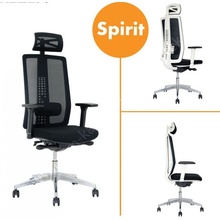 SPIRIT se LOCO SP 010