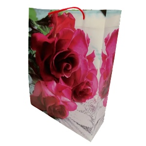 Cangnan Color Bag Co. , Ltd Подаръчни торбички pvc 30 х 23 х 8 см. М13-045