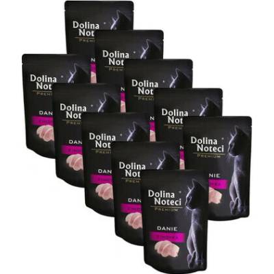 DOLINA NOTECI Premium krmivo z krůtího masa 10x krmivo 85 g