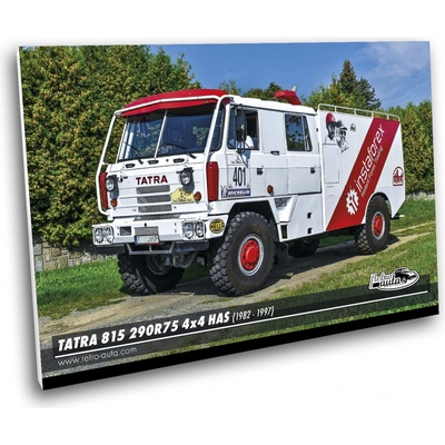 Obraz č. 03 - Tatra 815 290R75 4x4 HAS (1982 - 1997) 100 x 70 cm