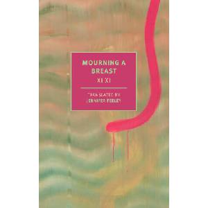 MOURNING A BREAST | XI XI (ISBN: 9781681378220)