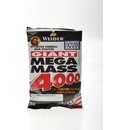 Weider Giant Mega mass 4000 75 g