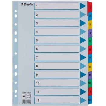 ESSELTE Регистър, картон, A4, 1-12, ESSELTE "Mylar" 100162 (100162)