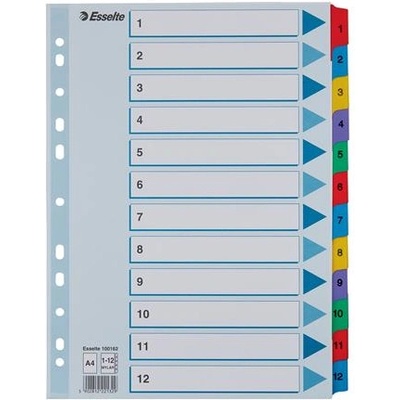 ESSELTE Регистър, картон, A4, 1-12, ESSELTE "Mylar" 100162 (100162)