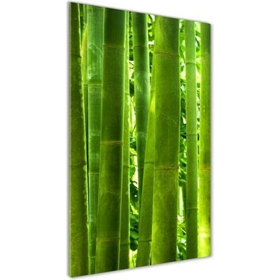 Vertikálny fotoobraz na skle Bambus 50x100 cm