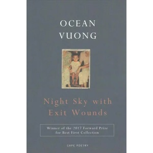 Night Sky with Exit Wounds (ISBN: 9781911214519)