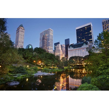 DIMEX ART s. r. o Флизелинов фототапет хоризонт на сентръл парк 375 x 250 см