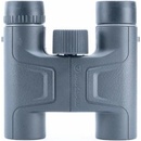 Vanguard 10x25 VESTA
