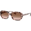 Ralph Lauren RA5325U 605813