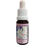PHI Essences При натрапчиви мисли - Есенция Конски кестен № 35, капки 15 ml (35 CLASSIC)