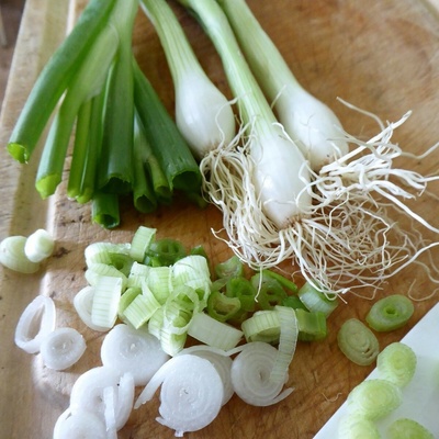 BIO Cibuľa jarná Biely Lisabon - Allium cepa - semená cibule - 100 ks