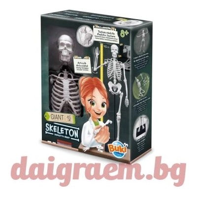 Buki France Образователен комплект Човешки скелет 45см. buki 2180 (bk2180)