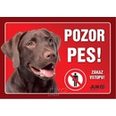 Juko Plastová tabuľa Pozor Pes Labrador hnedý 21 x 14,7 cm