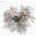 METCALFE, JOHN - TREE LP