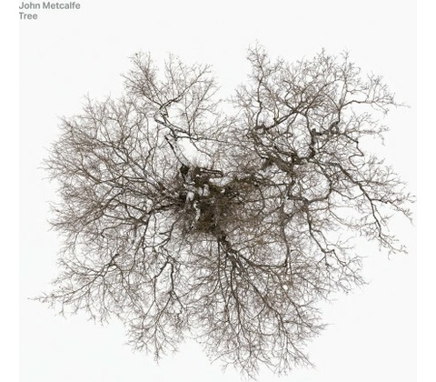 METCALFE, JOHN - TREE LP