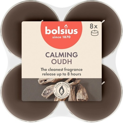 Bolsius Maxi True Scents Oud Wood 8 ks