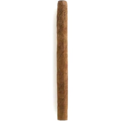 Jacobus Sumatra Half Corona 1 ks