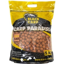 Black Carp Economic boilies 5kg 20mm Scopex-Oliheň