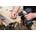 Bosch 2607002824