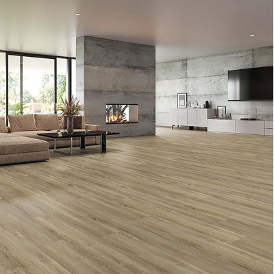 Tilo Sensano Dub saale 10 00091 01 2,09 m²