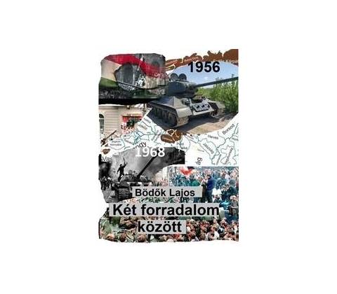 Két forradalom között