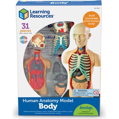 Learning Resources Anatomický model lidského těla – Zboží Dáma